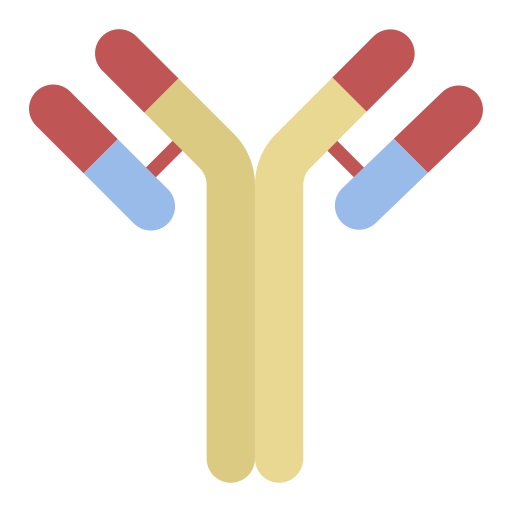 Immunoglobulin